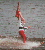 Regional Comp Gainer
